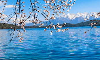 रारा ताल