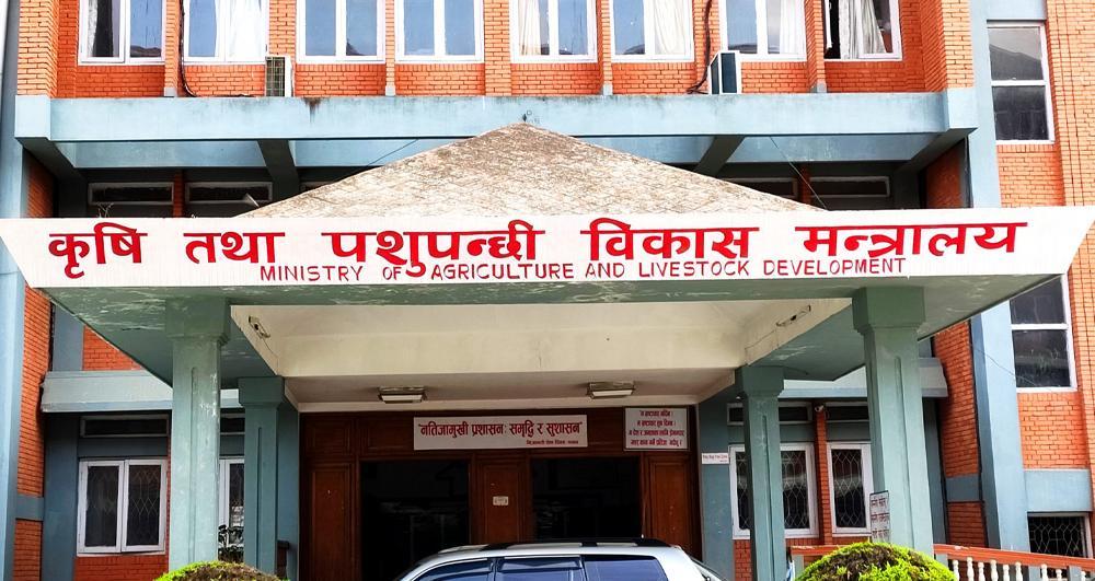 ९० दिनभन्दा बढी अनुपस्थित कर्मचारीलाई कृषि मन्त्रालयले सोध्यो स्पष्टीकरण