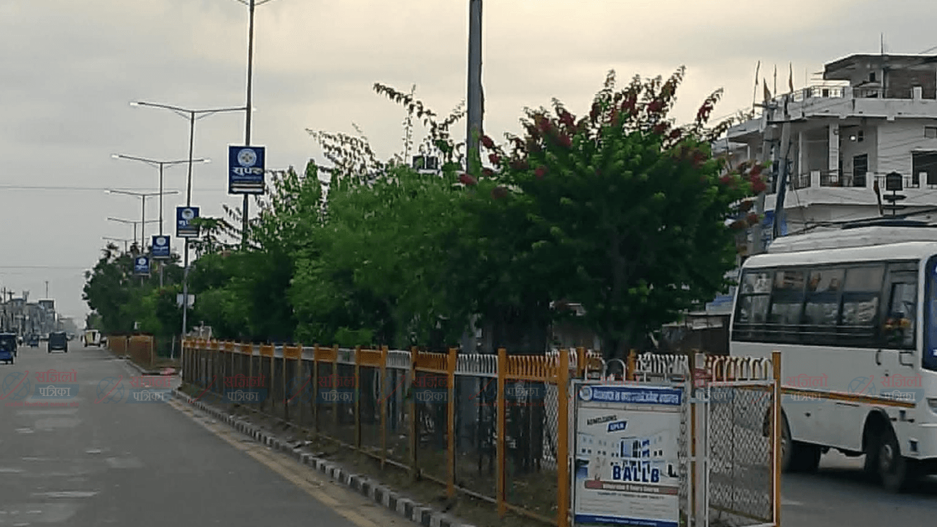 गुलमोहर र बेगमबेलीले सजिँदै नेपालगञ्ज
