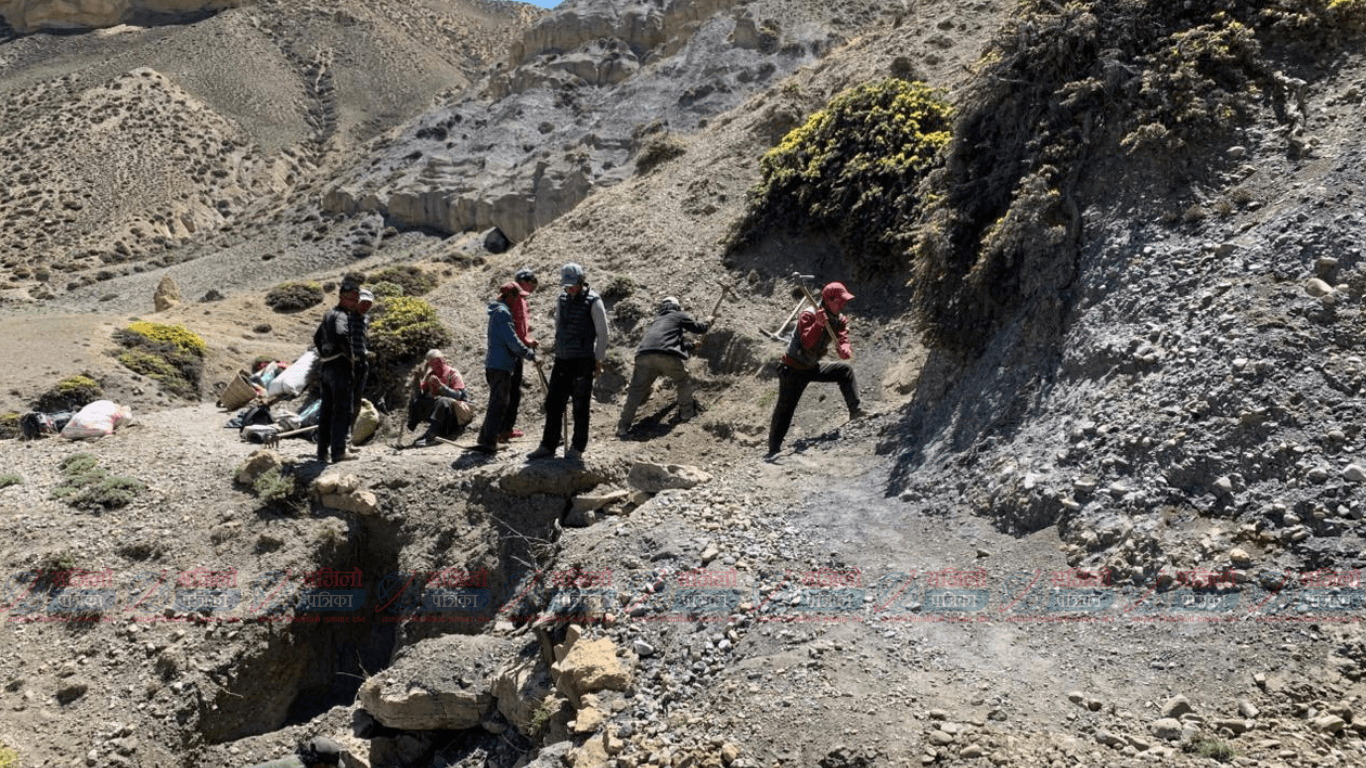 छुसाङ–पाताङ्ग्या पदमार्ग स्तरोन्नति गरिँदै: दुई साताभित्र काम सकिने
